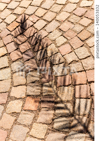 Fern Shadows on Cobblestone 140053832