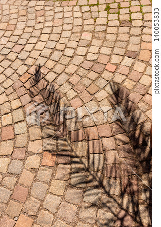 Diagonal Fern Leaf Shadows Diagonal Fern Leaf Shadows 140053833