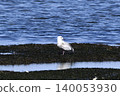 Vegetable gulls Vegetable gulls 140053930