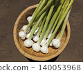 Freshly harvested garlic 140053968
