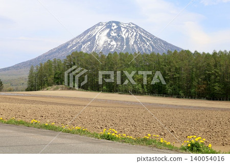 五月的北海道:二世古、俱知安、蝦夷富士山、羊蹄山,羊蹄山上仍殘留著積雪,雄偉的北海道山峰在藍天的映襯下閃閃發光。 五月的北海道:二世古、俱知安、蝦夷富士山、羊蹄山,羊蹄山上仍殘留著積雪,雄偉的北海道山峰在藍天的映襯下閃閃發光。 140054016