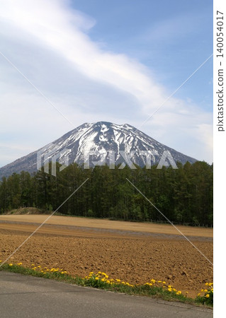 五月的北海道:二世古、俱知安、蝦夷富士山、羊蹄山,羊蹄山上仍殘留著積雪,雄偉的北海道山峰在藍天的映襯下閃閃發光。 五月的北海道:二世古、俱知安、蝦夷富士山、羊蹄山,羊蹄山上仍殘留著積雪,雄偉的北海道山峰在藍天的映襯下閃閃發光。 140054017