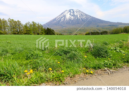 May in Hokkaido: Niseko, Kutchan, Ezo Fuji, Mount Yotei, Mount Yotei with lingering snow, the majestic mountain of Hokkaido, shining brightly against the blue sky. May in Hokkaido: Niseko, Kutchan, Ezo Fuji, Mount Yotei, Mount Yotei with lingering snow, the majestic mountain of Hokkaido, shining brightly against the blue sky. 140054018