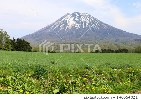 May in Hokkaido: Niseko, Kutchan, Ezo Fuji, Mount Yotei, Mount Yotei with lingering snow, the majestic mountain of Hokkaido, shining brightly against the blue sky. 140054021