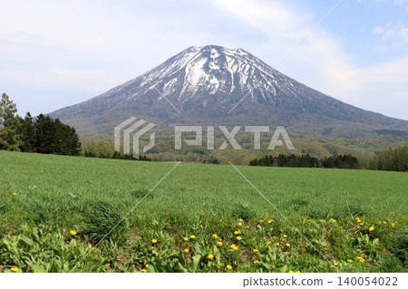 May in Hokkaido: Niseko, Kutchan, Ezo Fuji, Mount Yotei, Mount Yotei with lingering snow, the majestic mountain of Hokkaido, shining brightly against the blue sky. 140054022