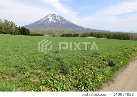 五月的北海道：二世古、俱知安、蝦夷富士山、羊蹄山，羊蹄山上仍殘留著積雪，雄偉的北海道山峰在藍天的映襯下閃閃發光。 140054028