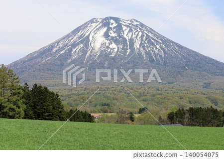 五月的北海道:二世古、俱知安、蝦夷富士山、羊蹄山,羊蹄山上仍殘留著積雪,雄偉的北海道山峰在藍天的映襯下閃閃發光。 五月的北海道:二世古、俱知安、蝦夷富士山、羊蹄山,羊蹄山上仍殘留著積雪,雄偉的北海道山峰在藍天的映襯下閃閃發光。 140054075