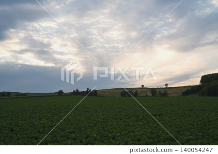 A dramatic sunset in early June in Biei, Hokkaido: rice fields, a single tree silhouetted against a sky filled with drifting clouds. A dramatic sunset in early June in Biei, Hokkaido: rice fields, a single tree silhouetted against a sky filled with drifting clouds. 140054247