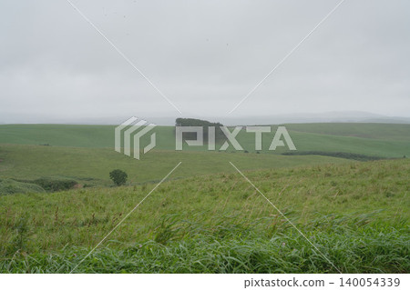 The green hills and windbreaks of Hokkaido, the misty plains of Hokkaido, the idyllic scenery of the Orolon Line in northern Hokkaido in August. The green hills and windbreaks of Hokkaido, the misty plains of Hokkaido, the idyllic scenery of the Orolon Line in northern Hokkaido in August. 140054339