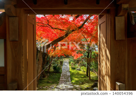 Gate to red fall maple leaf tree tunnel path of Ryoan-ji temple, Kyoto Gate to red fall maple leaf tree tunnel path of Ryoan-ji temple, Kyoto 140054396