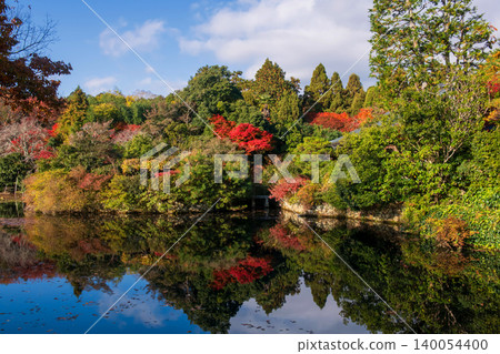 Ryoan-ji Temple pond and garden in autumn colors, Kyoto 140054400