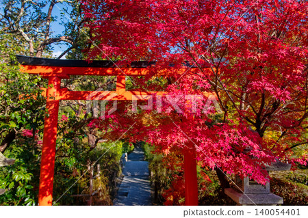 Torii gate by red maple fall leaf at Ryoanji Temple garden, Kyoto Torii gate by red maple fall leaf at Ryoanji Temple garden, Kyoto 140054401