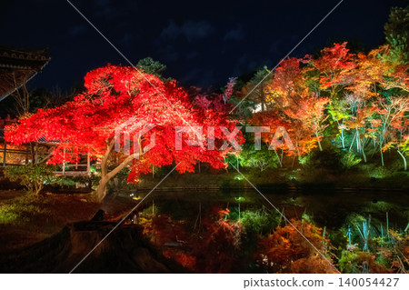 Colorful maple leaf illusion in Kodaiji temple garden in fall, Kyoto Colorful maple leaf illusion in Kodaiji temple garden in fall, Kyoto 140054427
