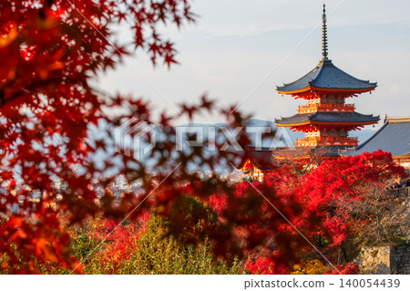 Iconic Kiyomizu-dera pagoda with red maple autumn leaf, Kyoto 140054439