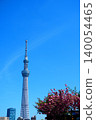 Sakura and Sky Tree 140054465