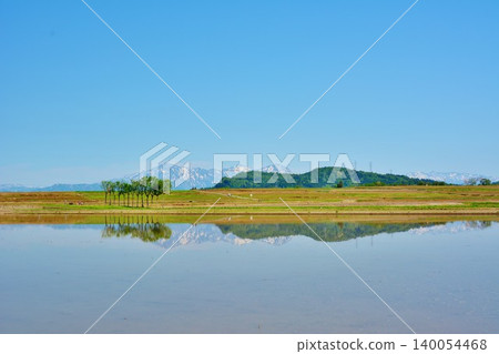 Rice drying racks in the fields before planting; the snow-capped Echigo Sanzan mountains reflected in the rice paddies. 140054468