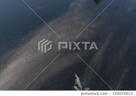 A pond and lush green forest in eastern Hokkaido, with reflections, creating a fantastical forest landscape in early autumn in September. A pond and lush green forest in eastern Hokkaido, with reflections, creating a fantastical forest landscape in early autumn in September. 140054623