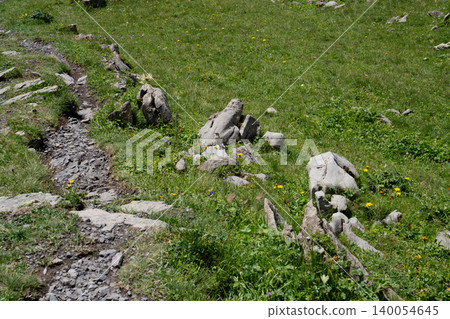 Summer scenery in the Swiss and French Alps (August) Summer scenery in the Swiss and French Alps (August) 140054645