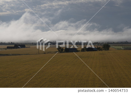 A rural landscape in Hokkaido, with morning mist, golden rice fields, and distant mountain ranges, depicting the early autumn harvest season in September. A rural landscape in Hokkaido, with morning mist, golden rice fields, and distant mountain ranges, depicting the early autumn harvest season in September. 140054733