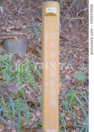 Springtime Mount Takao Nature Research Trail No. 6: Signposts beckoning you into a tranquil forest Springtime Mount Takao Nature Research Trail No. 6: Signposts beckoning you into a tranquil forest 140054806