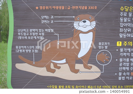 An adorable otter-themed sign in Korean found in a park in South Korea in early summer. 140054991