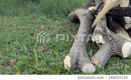 A portrait-style close-up photo focuses on two large, cut wood logs resting on green grass. The logs are thick and textured, with a blurry background of grass and scattered leaves. A portrait-style close-up photo focuses on two large, cut wood logs resting on green grass. The logs are thick and textured, with a blurry background of grass and scattered leaves. 140055233