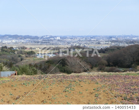 從 Yurugi Hill 看到的平塚市 從 Yurugi Hill 看到的平塚市 140055433