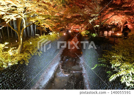Autumn foliage light-up at Kitano Tenmangu Shrine in Kyoto Autumn foliage light-up at Kitano Tenmangu Shrine in Kyoto 140055591