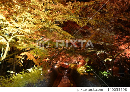 京都北野天滿宮的秋葉燈光秀 京都北野天滿宮的秋葉燈光秀 140055598