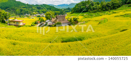 Hase Rice Terraces and Golden Countryside Landscape in Nose Town, Osaka Prefecture *Location of photo is indicated in the comments section of the work* Hase Rice Terraces and Golden Countryside Landscape in Nose Town, Osaka Prefecture *Location of photo is indicated in the comments section of the work* 140055725