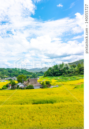 Hase Rice Terraces and Golden Countryside Landscape in Nose Town, Osaka Prefecture *Location of photo is in the comments section of the artwork* *Location of photo is in the comments section of the artwork* Hase Rice Terraces and Golden Countryside Landscape in Nose Town, Osaka Prefecture *Location of photo is in the comments section of the artwork* *Location of photo is in the comments section of the artwork* 140055727
