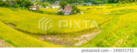 Hase Rice Terraces and Golden Countryside Landscape in Nose Town, Osaka Prefecture *Location of photo is in the comments section of the artwork* *Location of photo is in the comments section of the artwork* Hase Rice Terraces and Golden Countryside Landscape in Nose Town, Osaka Prefecture *Location of photo is in the comments section of the artwork* *Location of photo is in the comments section of the artwork* 140055733
