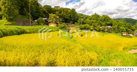 Hase Rice Terraces and Golden Countryside Landscape in Nose Town, Osaka Prefecture *Location of photo is in the comments section of the artwork* *Location of photo is in the comments section of the artwork* Hase Rice Terraces and Golden Countryside Landscape in Nose Town, Osaka Prefecture *Location of photo is in the comments section of the artwork* *Location of photo is in the comments section of the artwork* 140055735