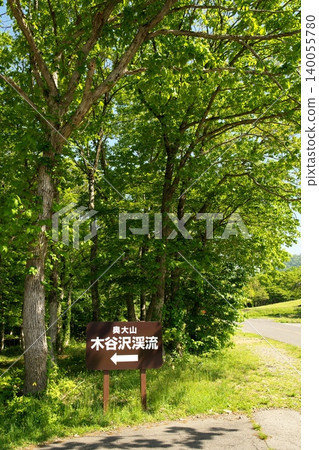 鳥取縣奧大井山北谷澤峽谷美麗的翠綠景色 鳥取縣奧大井山北谷澤峽谷美麗的翠綠景色 140055780