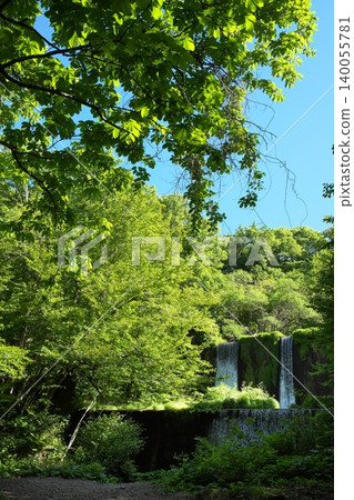 The beautiful fresh greenery of the Kitanizawa Gorge in Okudaisen, Tottori Prefecture The beautiful fresh greenery of the Kitanizawa Gorge in Okudaisen, Tottori Prefecture 140055781