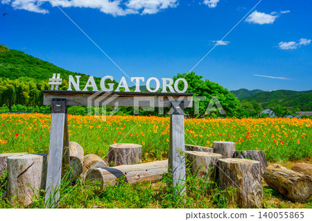 Nagatoro Flower Village in early summer: A field of California poppies in full bloom, a white wooden sign with the letters "#NAGATORO", and log benches. Nagatoro Flower Village in early summer: A field of California poppies in full bloom, a white wooden sign with the letters "#NAGATORO", and log benches. 140055865