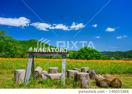 初夏的長瀞花村:加州罌粟花盛開,一塊寫著「#NAGATORO」的白色木牌,以及原木長椅。 初夏的長瀞花村:加州罌粟花盛開,一塊寫著「#NAGATORO」的白色木牌,以及原木長椅。 140055866