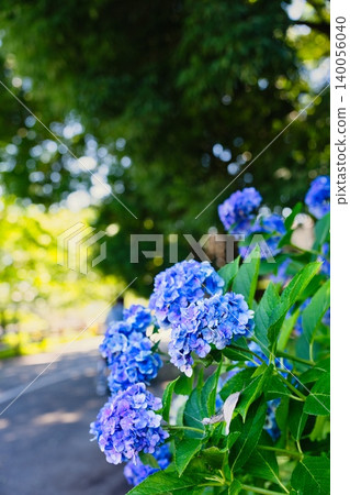 A feeling that summer is about to begin A feeling that summer is about to begin 140056040