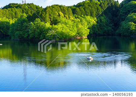 Nunome Dam in early summer: The green of the lakeshore illuminated by the setting sun and the green reflected on the lake's surface. Nunome Dam in early summer: The green of the lakeshore illuminated by the setting sun and the green reflected on the lake's surface. 140056193