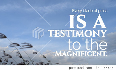 A quote proclaiming every blade of grass is a testimony to the magnificent in white text over a soft blue sky background with tall blades of wild grass swaying in the lower portion of the image. A quote proclaiming every blade of grass is a testimony to the magnificent in white text over a soft blue sky background with tall blades of wild grass swaying in the lower portion of the image. 140056327