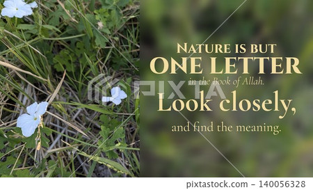 A spiritual quote urging observation of Nature as One Letter in Allahs book to find meaning in dark yellow text over a blurred green background juxtaposed with a close-up of white wildflowers in grass A spiritual quote urging observation of Nature as One Letter in Allahs book to find meaning in dark yellow text over a blurred green background juxtaposed with a close-up of white wildflowers in grass 140056328