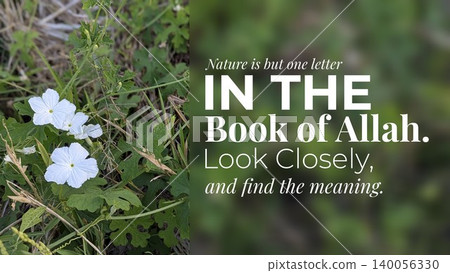 Quote observation of Nature as One Letter in Allahs book to find meaning in bold white text over a blurred green background juxtaposed with a clear image of white wildflowers in grass on the left. Quote observation of Nature as One Letter in Allahs book to find meaning in bold white text over a blurred green background juxtaposed with a clear image of white wildflowers in grass on the left. 140056330