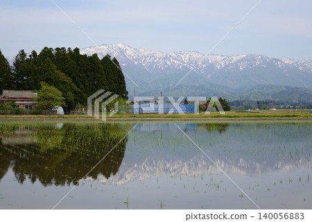 The snow-capped mountains are reflected in the Echigo Plain, where rice planting has just finished. The snow-capped mountains are reflected in the Echigo Plain, where rice planting has just finished. 140056883