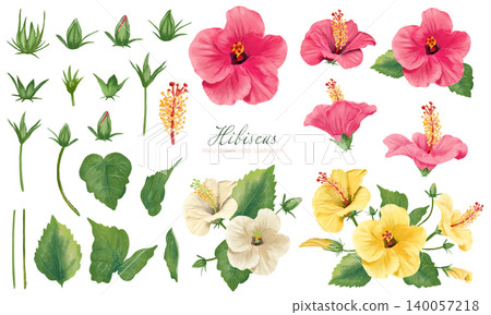 Hibiscus parts material set (vector illustration material) Hibiscus parts material set (vector illustration material) 140057218