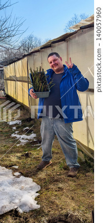 Man smiling and making a peace sign while holding a tray of rose cuttings, ready for propagating new plants in the garden near a greenhouse on a sunny spring day with melting snow. Man smiling and making a peace sign while holding a tray of rose cuttings, ready for propagating new plants in the garden near a greenhouse on a sunny spring day with melting snow. 140057960