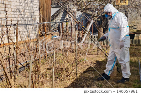 Person wearing a protective suit and respirator mask, spraying bare bushes in a home garden, performing pest control and disinfection work during early spring. Person wearing a protective suit and respirator mask, spraying bare bushes in a home garden, performing pest control and disinfection work during early spring. 140057961