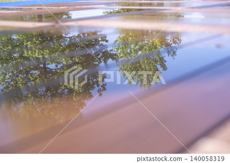 Fresh green leaves reflected on the wooden deck after the rain. 140058319