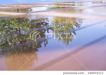 Fresh green leaves reflected on the wooden deck after the rain. Fresh green leaves reflected on the wooden deck after the rain. 140058321