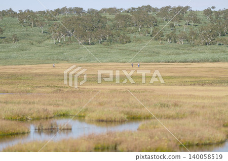 The lush green forests and mountain ranges of Uryunuma Marshland in Hokkaido, a panoramic natural landscape in early autumn in September, a magnificent natural scene of Hokkaido. 140058519