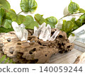 水晶和穿孔浮木室內裝飾品 140059244